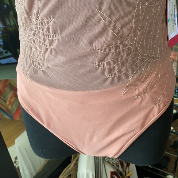 Sheer one piece - Picture 3 of 6